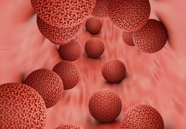 những dấu hiệu nhận biết virus HPV xâm nhập cơ thể