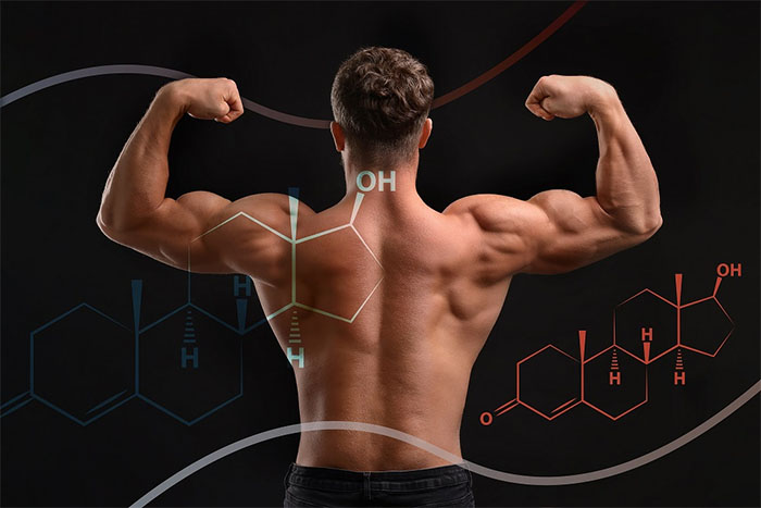 xét nghiệm testosterone Quy Nhơn Gia Lai