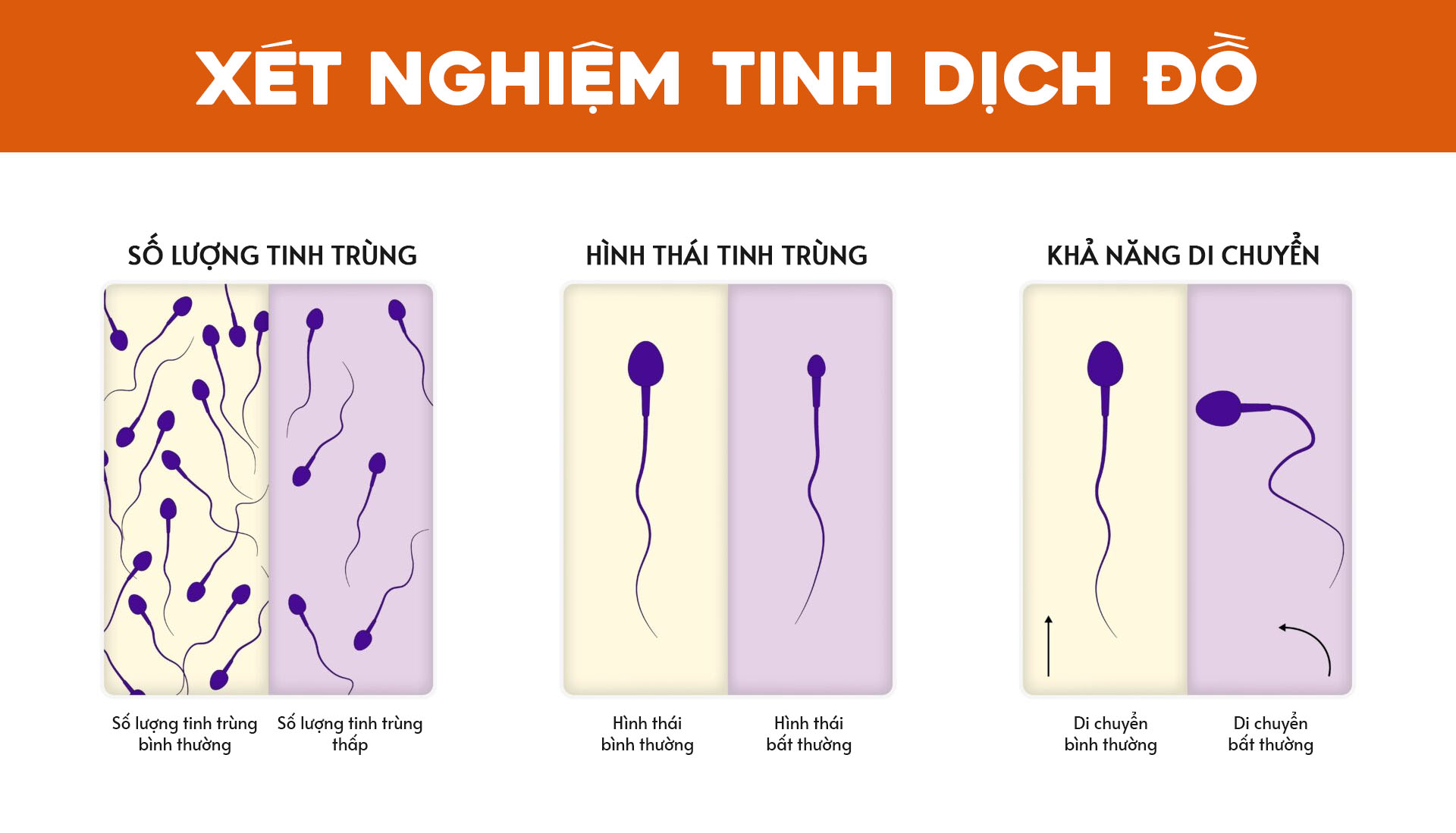 chữa vô sinh gia lai