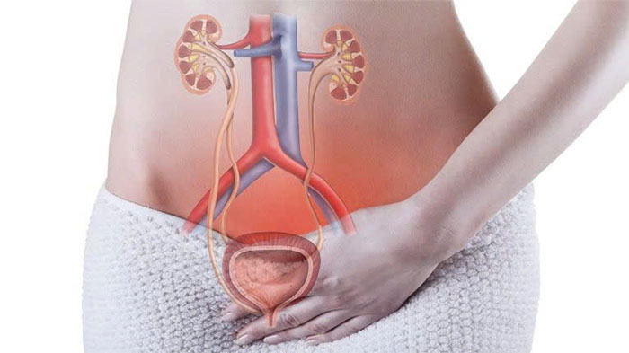 tiết niệu ở nữ giới